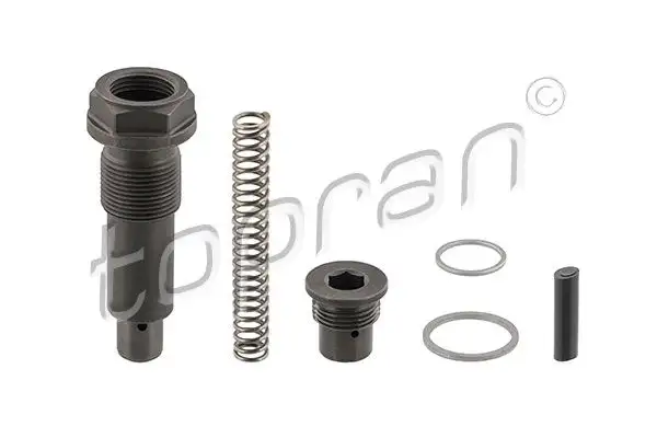 TOPRAN 408971001 Eksantrik Zincir Gergisi resmi