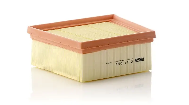 MANN C17006 Hava Filtresi resmi