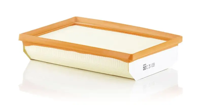 MANN C25033 Hava Filtresi resmi