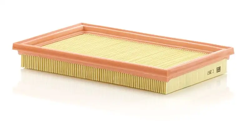 MANN C2851 Hava Filtresi 13721491749 resmi