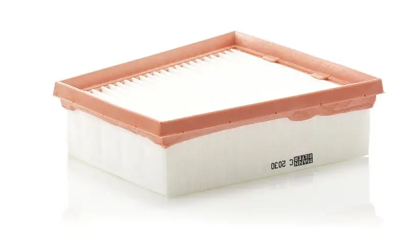 MANN C2030 Hava Filtresi resmi