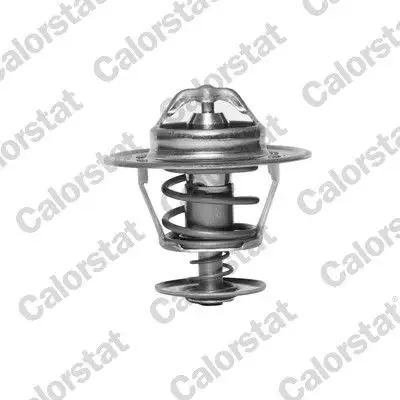 CALORSTAT VERNET TH6007.88J Termostat 894F8575AA resmi