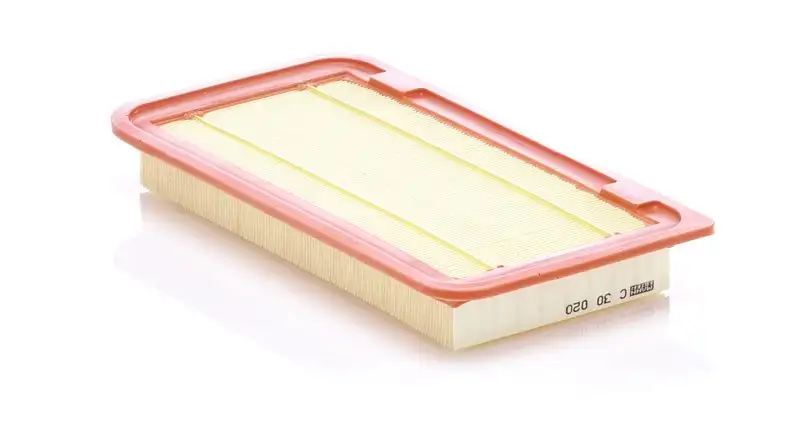 MANN C30020 Hava Filtresi LFG113Z409A resmi