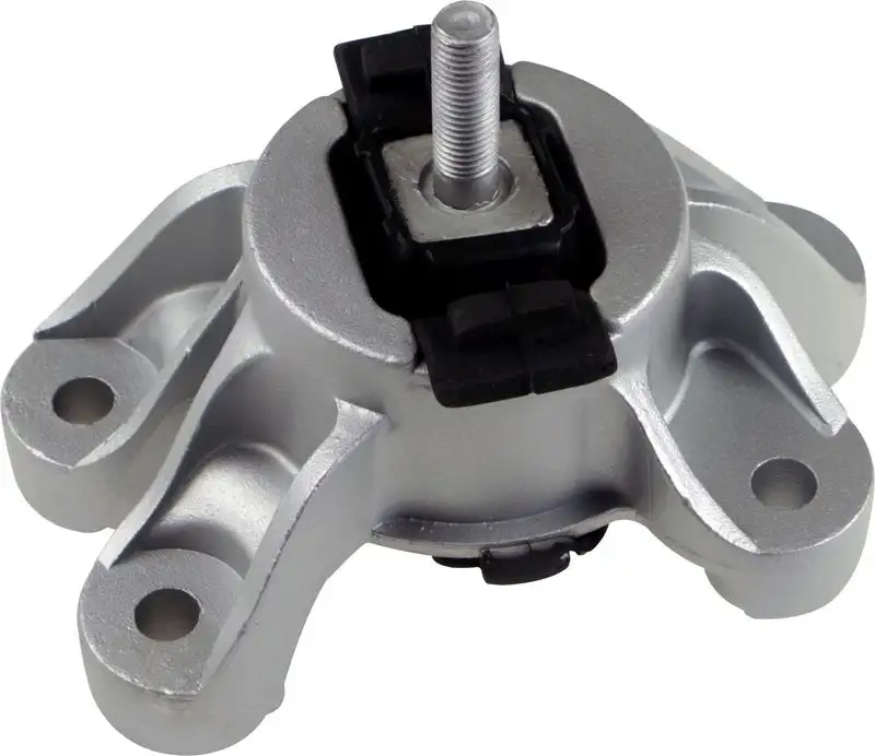 RAPRO R54243 Şanzıman Takozu 22316779806 resmi