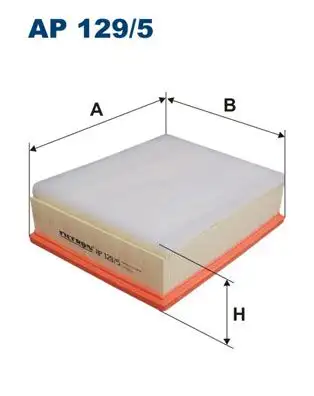 FILTRON AP129/5 Hava Filtresi VP7H1U9601AB resmi