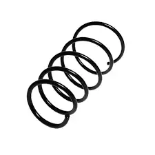 CAREX CRX21368 Ön Helezon Yayı 46453372 resmi