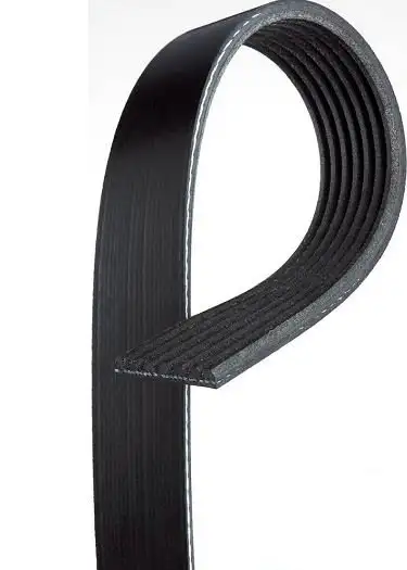 GATES ROADMAX 1555K6 Kayış resmi