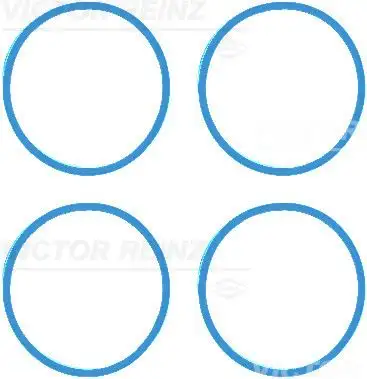 VICTOR REINZ 11-42216-01 Emme Manifold Contası 140350001R resmi