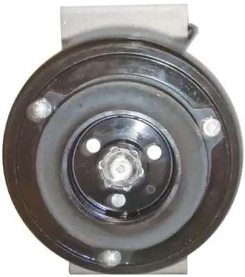 MAHLE ACP129000S Klima Kompresörü resmi