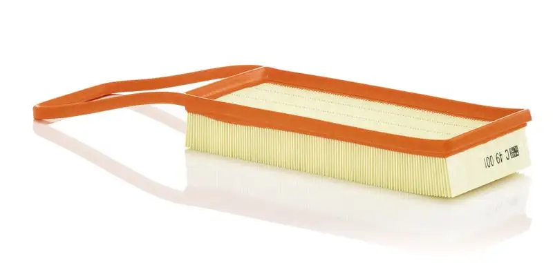 MANN C49001 Hava Filtresi 13718626739 resmi