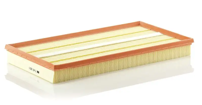 MANN C42192/1 Hava Filtresi A0000903851 resmi