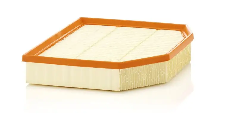 MANN C29132 Hava Filtresi 13717542545 resmi