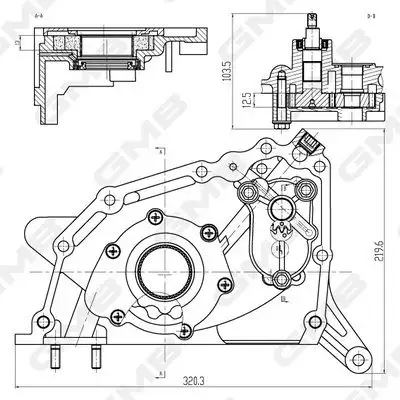 GMB GOAS-03A Yağ Pompası resmi