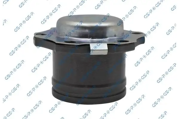 GSP 661006 Aks Kafası (İç) resmi