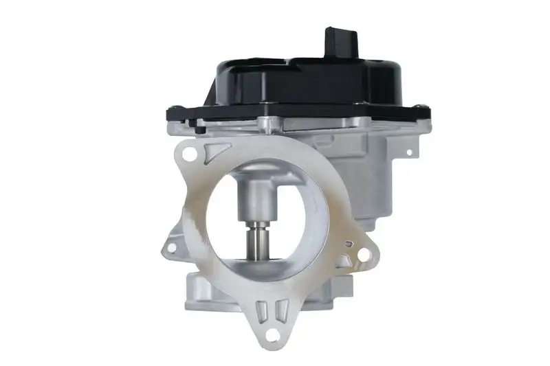 VALEO 700448 EGR Valfi resmi