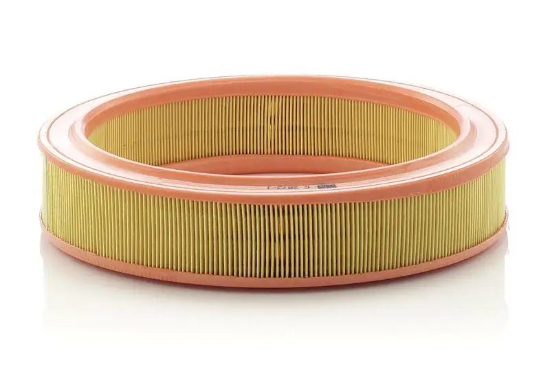 MANN C2873/1 Hava Filtresi resmi