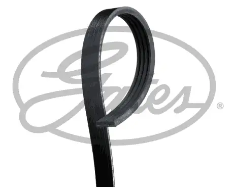 GATES ROADMAX 813K4 Kayış resmi