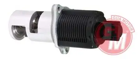 GUA 41505 EGR Valfi resmi