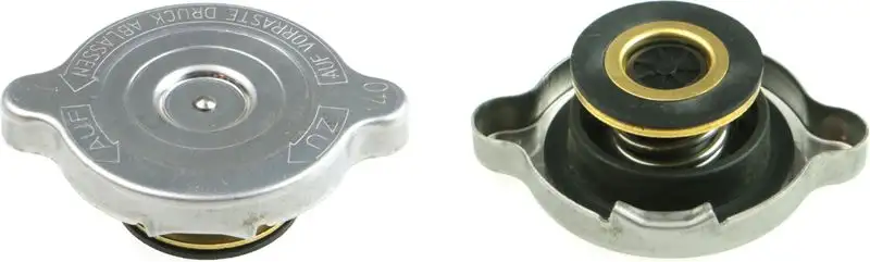 RAPRO R66116 Yedek Su Depo Kapağı resmi