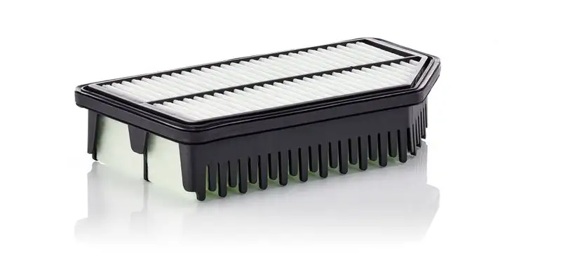 MANN C25016 Hava Filtresi 281131R100 resmi