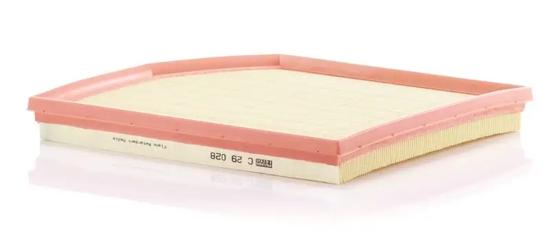 MANN C29028 Hava Filtresi 13717599285 resmi