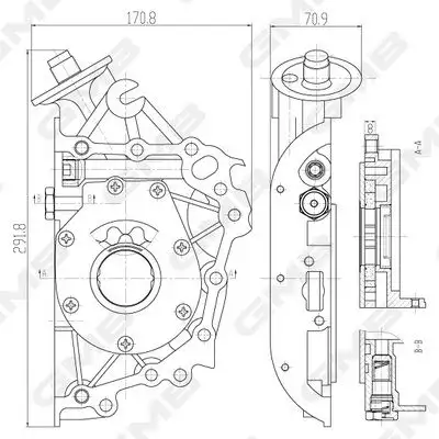 GMB GOAS-07A Yağ Pompası 2131023001 resmi