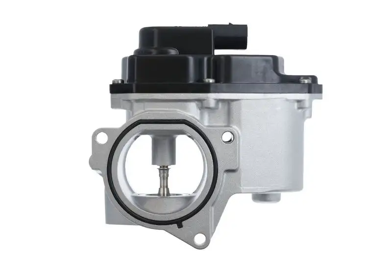 VALEO 700424 EGR Valfi resmi