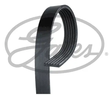 GATES ROADMAX 1310K6 Kayış resmi