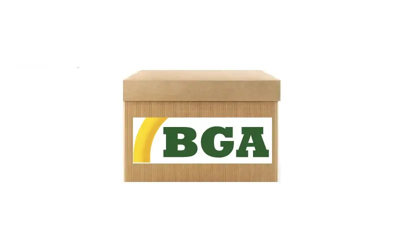 BGA LP0969 Yağ Pompası resmi