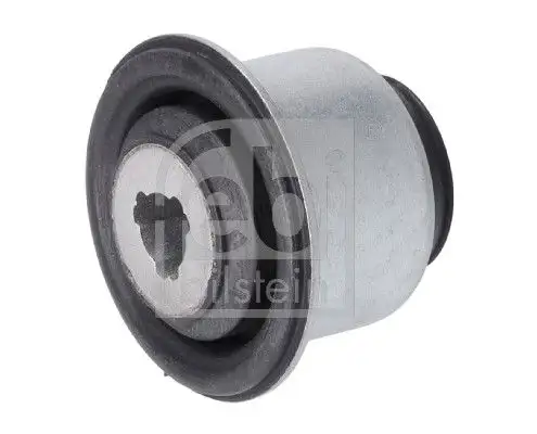 FEBI 14949 Salıncak Burcu resmi