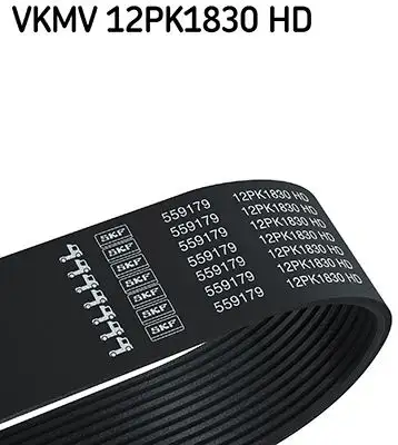 SKF VKMV12PK1830HD Kayış resmi