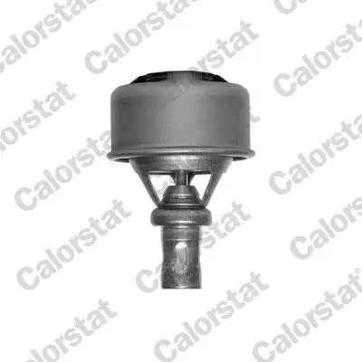 CALORSTAT VERNET TH4495.89 Termostat resmi