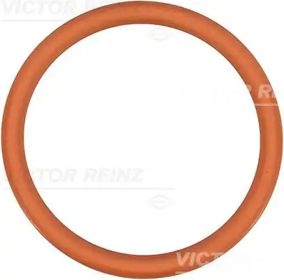 VICTOR REINZ 71-35247-00 Emme Manifold Contası 9567498080 resmi
