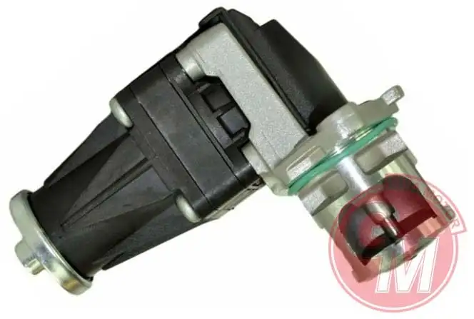 GUA 41595 EGR Valfi resmi