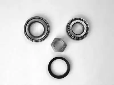 SNR 10R32005VC12UA Arka Aks Rulmanı resmi