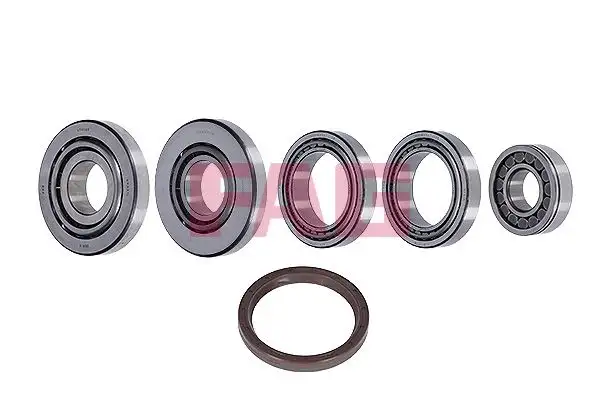 FAG 463012510 Diferansiyel Rulmanı resmi