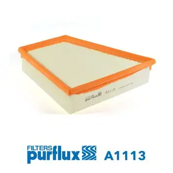 PURFLUX A1113 Hava Filtresi resmi