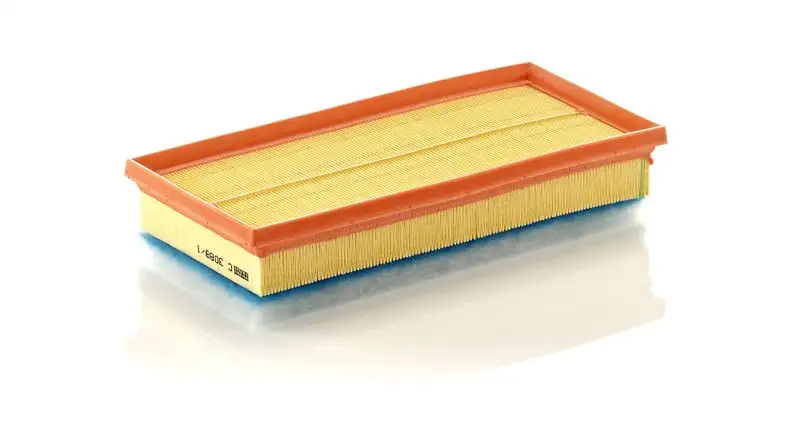 MANN C3088/1 Hava Filtresi 178010N040 resmi