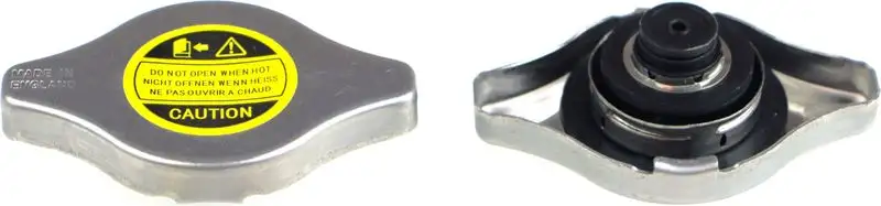 RAPRO R66135 Yedek Su Depo Kapağı resmi