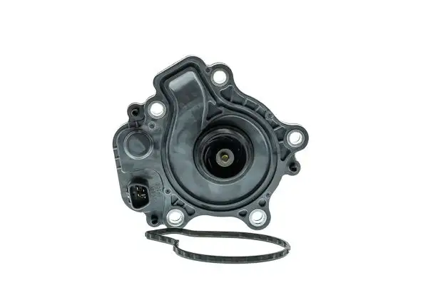 AISIN WPT-190A Devirdaim 161A029015 resmi