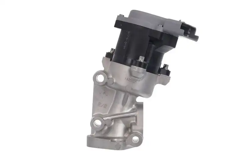 VALEO 700411 EGR Valfi resmi