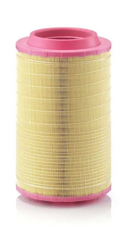 MANN C25860/6 Hava Filtresi resmi