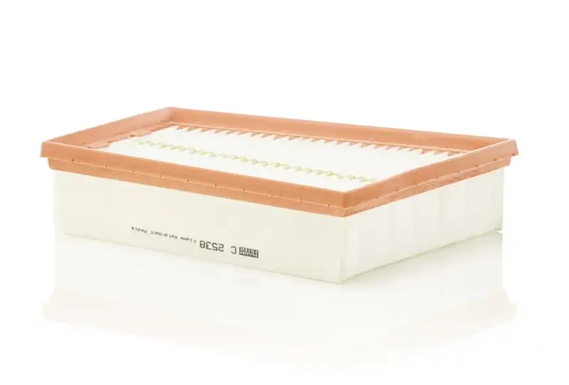 MANN C2538 Hava Filtresi resmi