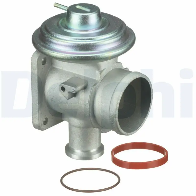 DELPHI EG10464-12B1 EGR Valfi resmi