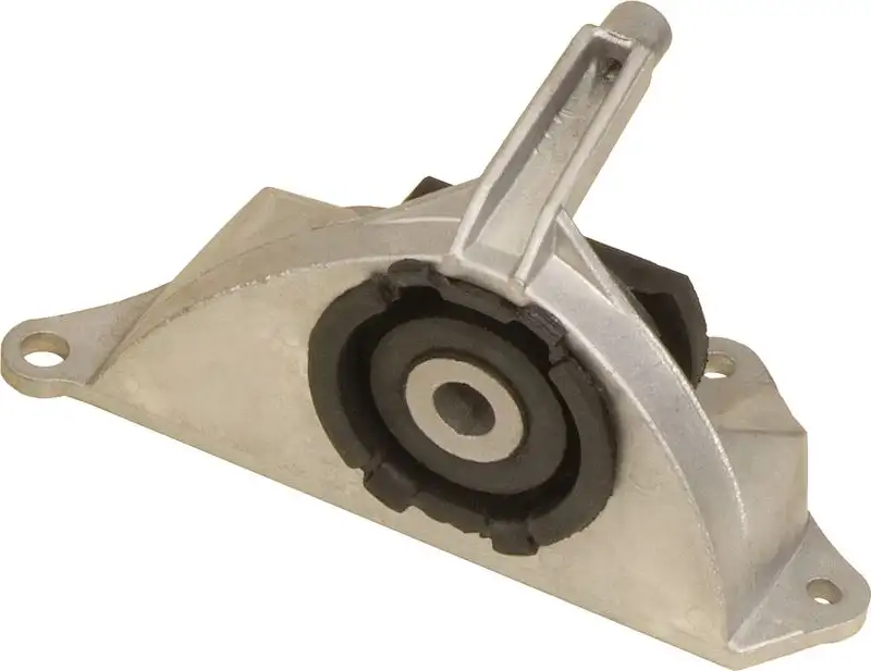 RAPRO R59979 Motor Takozu 46845345 resmi