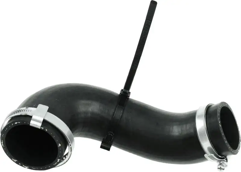 RAPRO R16237 Turbo Hortumu resmi