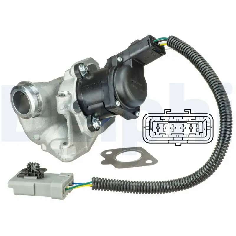 DELPHI EG10434-12B1 EGR Valfi resmi
