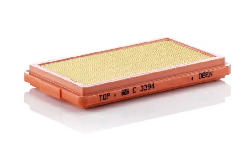 MANN C3394 Hava Filtresi resmi