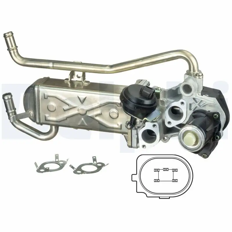DELPHI EG10432-12B1 EGR Valfi resmi
