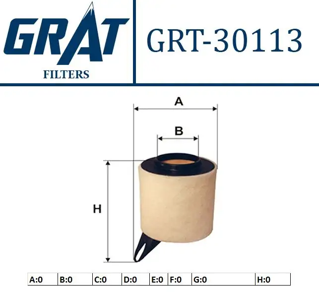 GRAT 30113 Hava Filtresi 13717524412 resmi